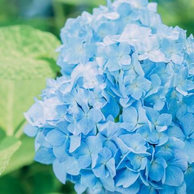 b体育登录入口app下载安装截图